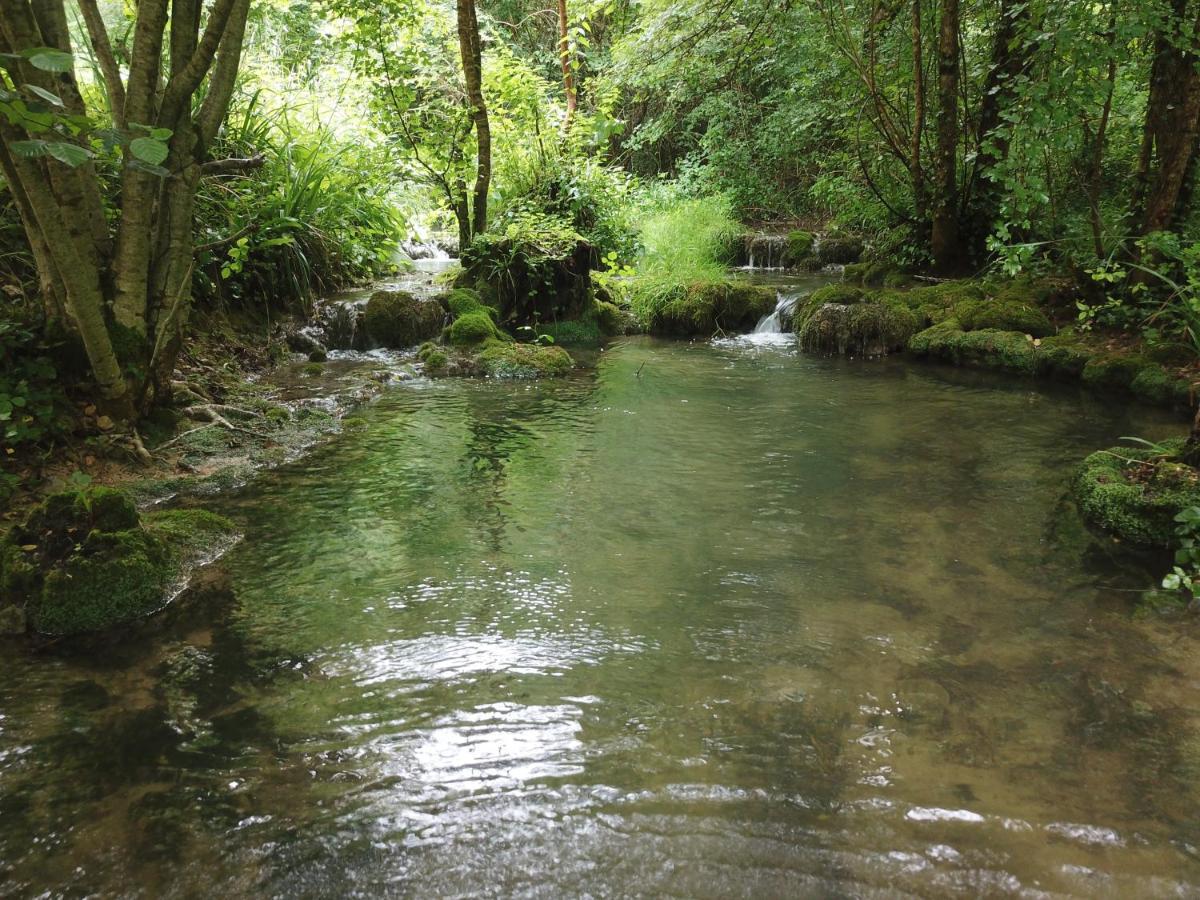 Moulin Bas, Pres De La Riviere Bed & Breakfast Carnac-Rouffiac Bagian luar foto